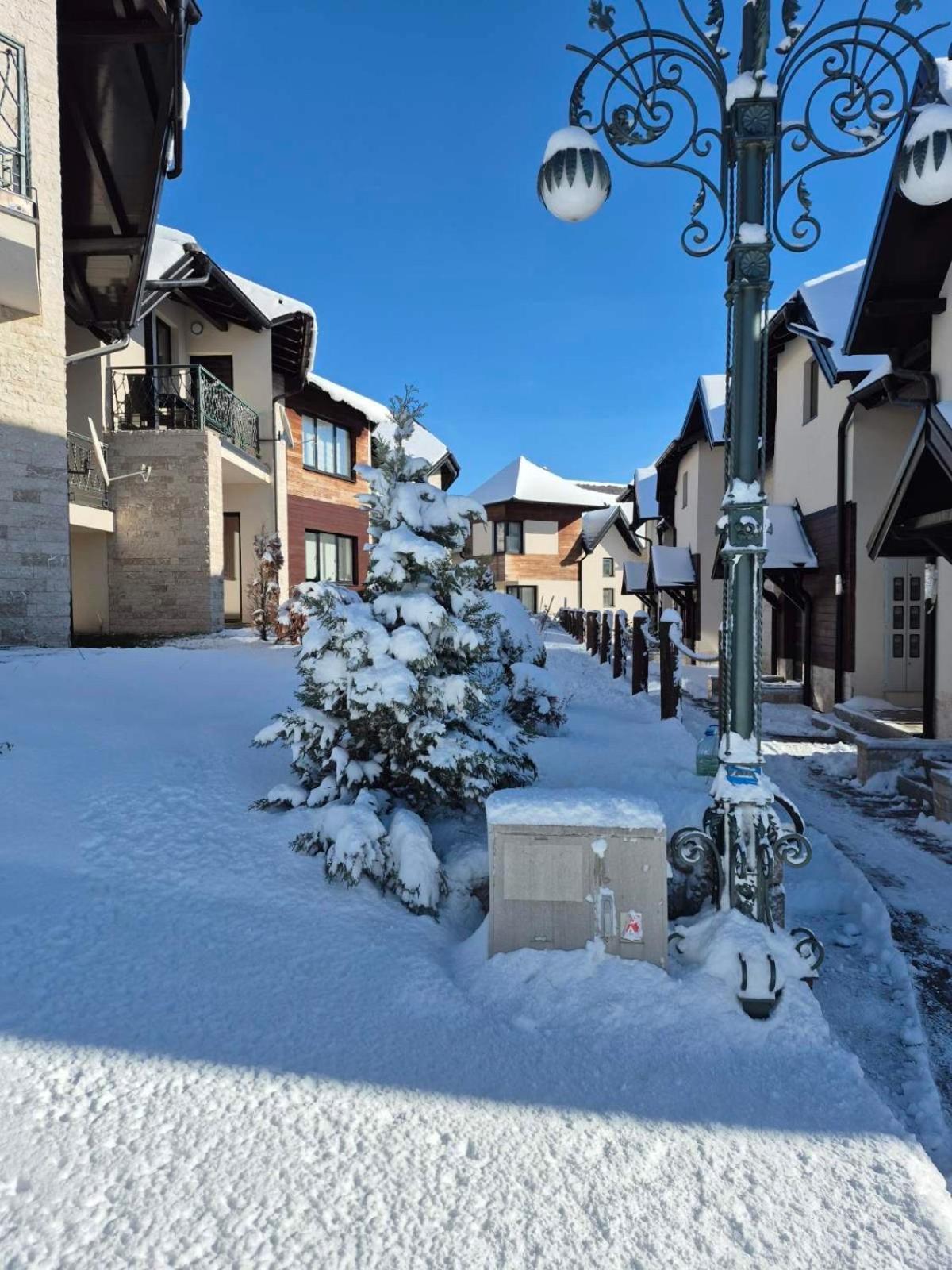 Vivien Apartmani Zlatibor Kültér fotó