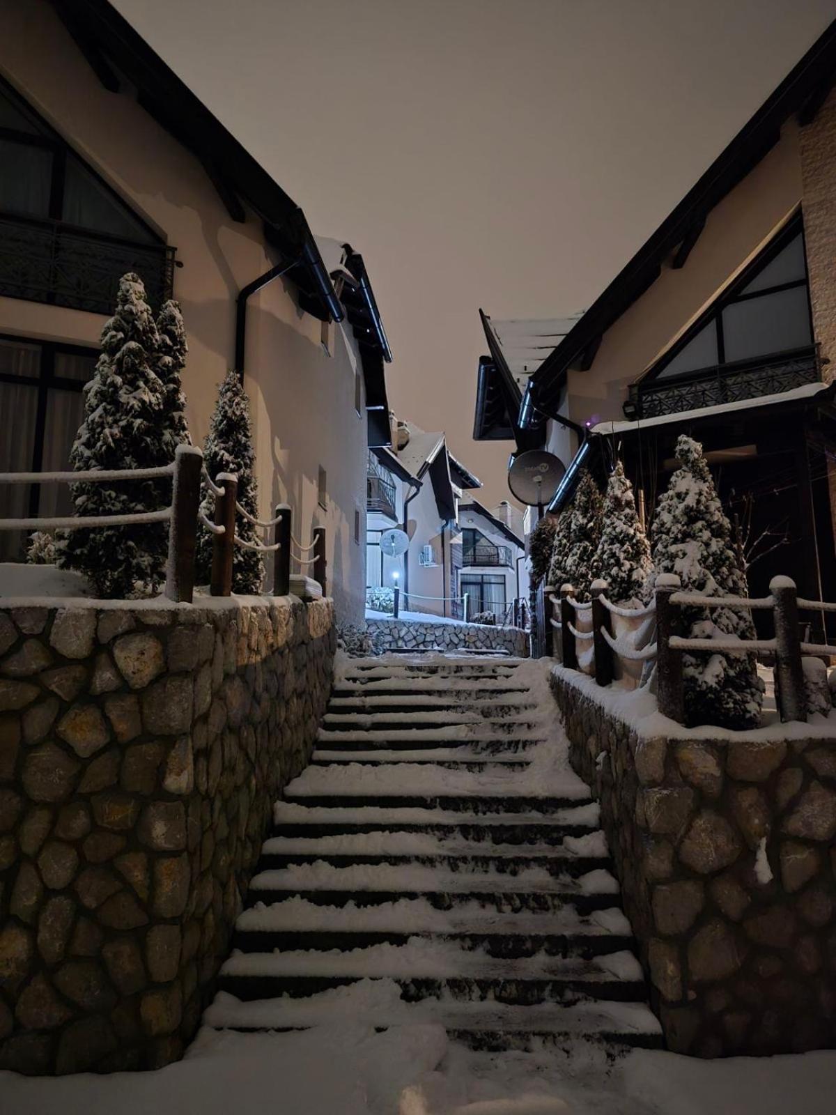 Vivien Apartmani Zlatibor Kültér fotó